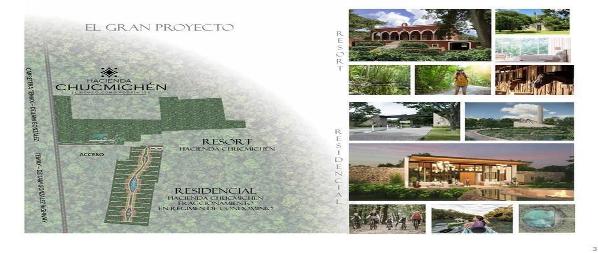 Foto de terreno habitacional en chucmichén , temax, temax, yucatán, 0 foto 05 Foto de terreno habitacional en venta en chucmichén , temax, temax, yucatán, 0 No. 05