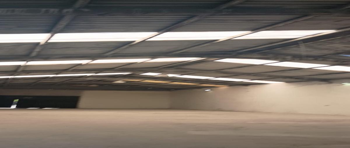 Foto de bodega en renta en  , chula vista, guadalupe, nuevo león, 0 No. 03