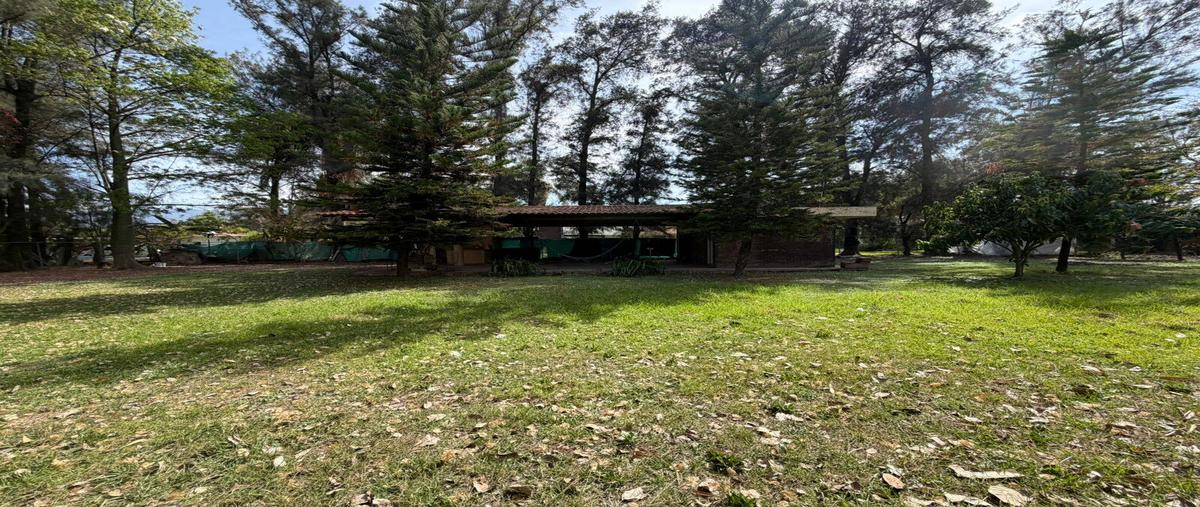 Foto de terreno habitacional en venta en  , chulavista, tlajomulco de zúñiga, jalisco, 30969304 No. 03
