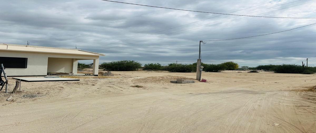 Foto de terreno habitacional en venta en chunique , chametla, la paz, baja california sur, 0 No. 03