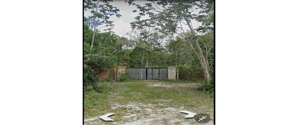 Foto de terreno habitacional en venta en  , chun-yah, felipe carrillo puerto, quintana roo, 0 No. 03