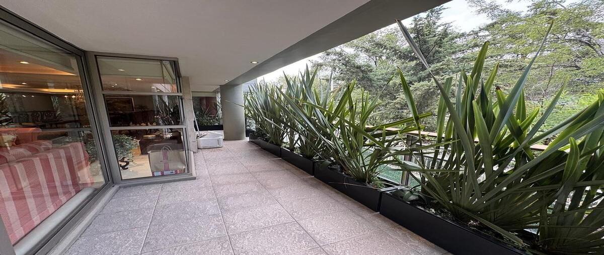 Foto de departamento en venta en cicerón , polanco ii sección, miguel hidalgo, df / cdmx, 0 No. 04
