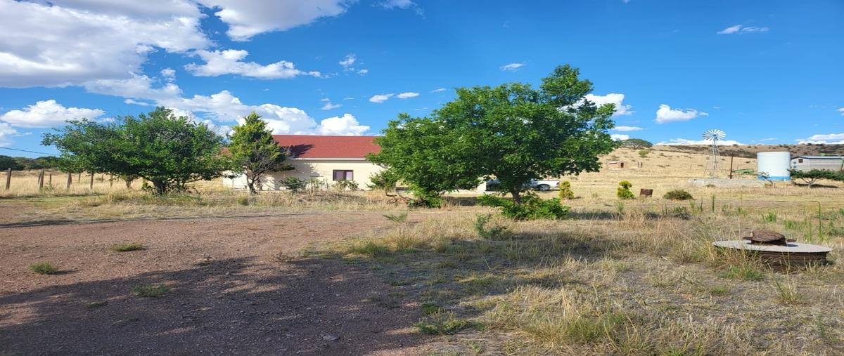 Foto de terreno habitacional en venta en  , ciénega de castillo (ciénega tres castillos), cuauhtémoc, chihuahua, 26959754 No. 05