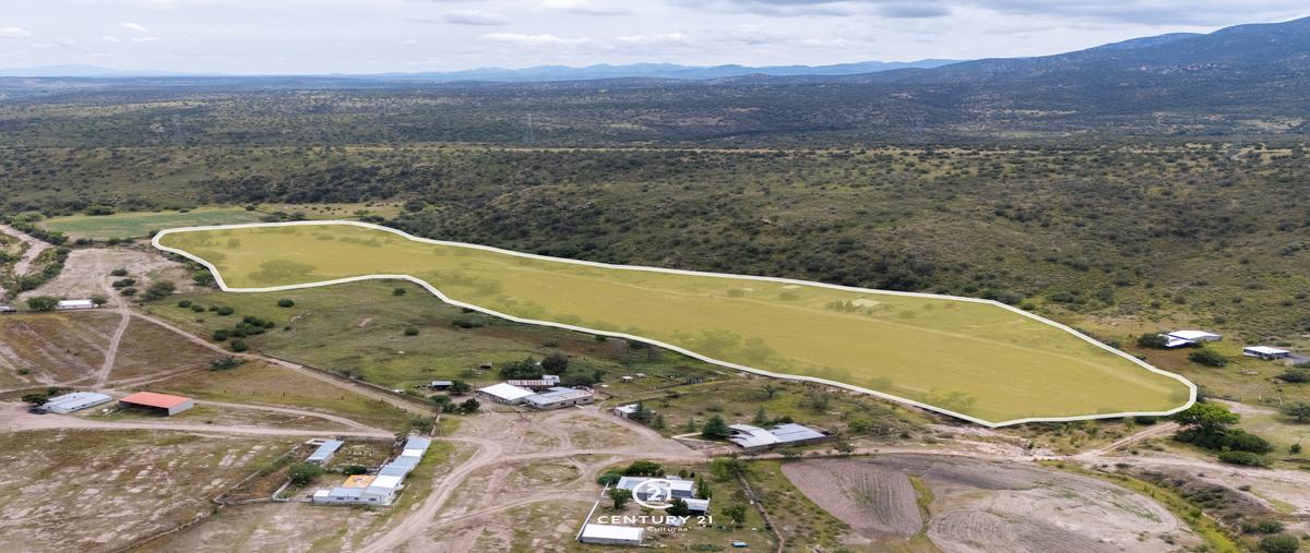 Foto de rancho en venta en  , ciénega de castillo (ciénega tres castillos), cuauhtémoc, chihuahua, 0 No. 04