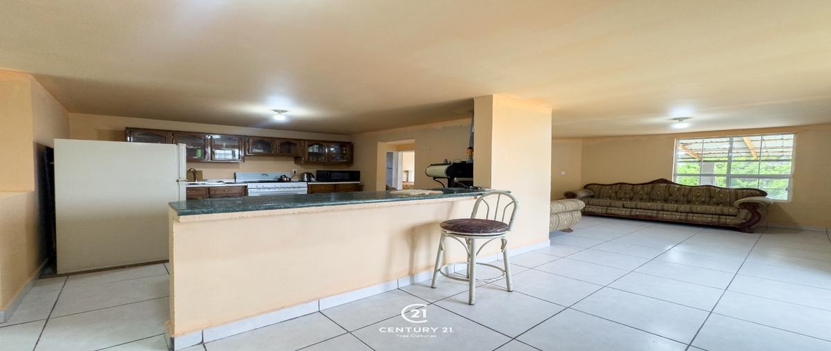 Foto de rancho en venta en  , ciénega de castillo (ciénega tres castillos), cuauhtémoc, chihuahua, 0 No. 05