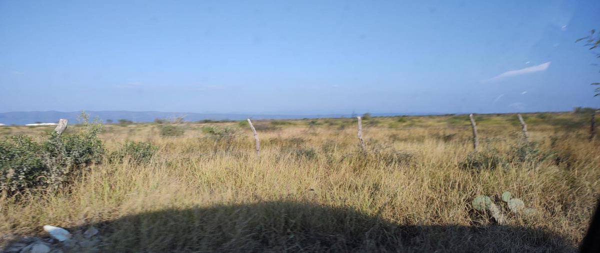 Foto de terreno habitacional en venta en  , ciénega de flores centro, ciénega de flores, nuevo león, 0 No. 01