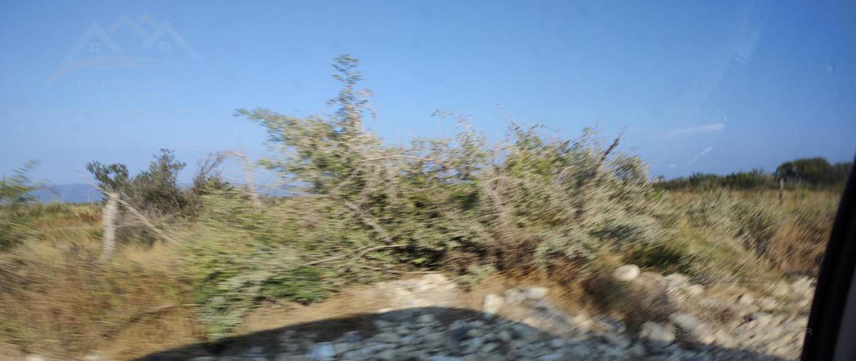 Foto de terreno habitacional en venta en  , ciénega de flores centro, ciénega de flores, nuevo león, 0 No. 02