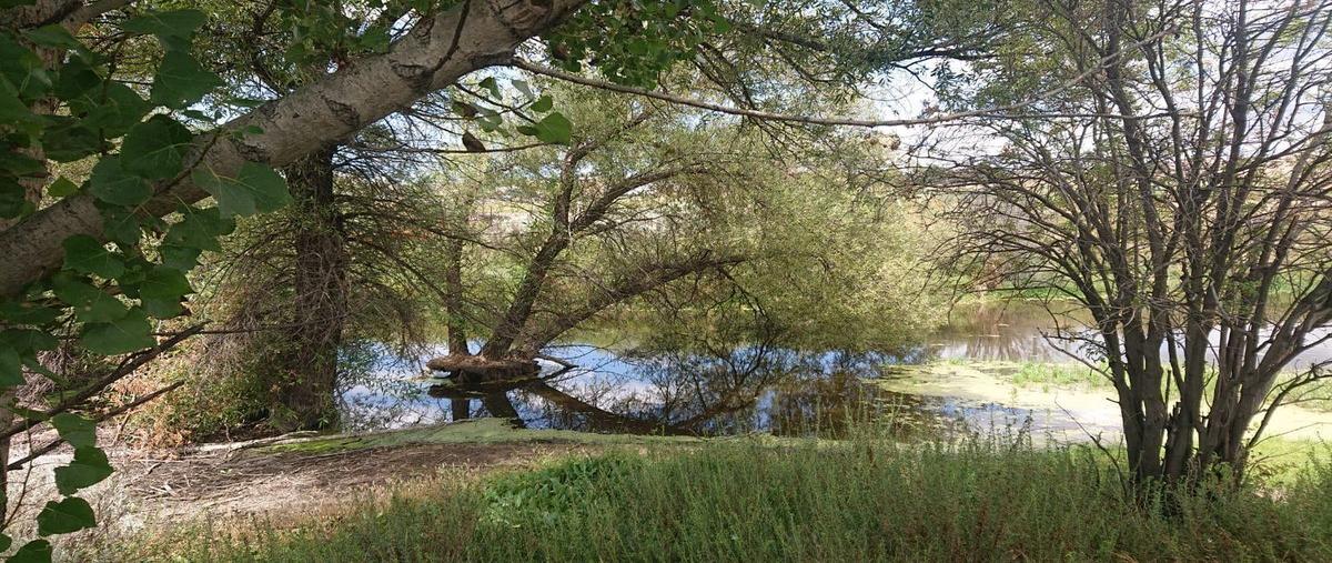 Foto de terreno habitacional en ciénega redonda , cereso el hongo, tecate, baja california, 28554689 foto 01 Foto de terreno habitacional en venta en ciénega redonda , cereso el hongo, tecate, baja california, 28554689 No. 01