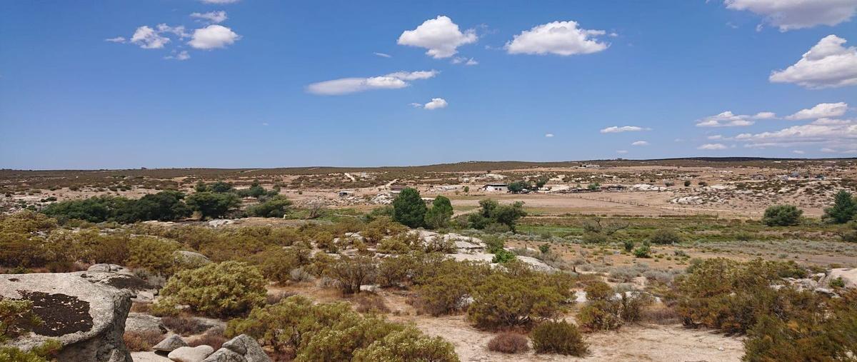Foto de terreno habitacional en ciénega redonda , cereso el hongo, tecate, baja california, 28554689 foto 03 Foto de terreno habitacional en venta en ciénega redonda , cereso el hongo, tecate, baja california, 28554689 No. 03