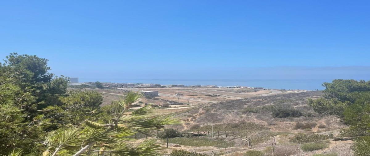 Foto de terreno habitacional en ciénega redonda , cereso el hongo, tecate, baja california, 28554689 foto 04 Foto de terreno habitacional en venta en ciénega redonda , cereso el hongo, tecate, baja california, 28554689 No. 04