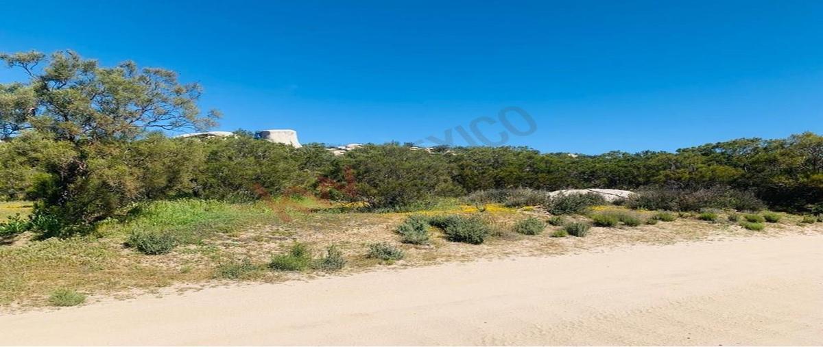 Foto de terreno habitacional en venta en cienega , tecate, tecate, baja california, 27962927 No. 05
