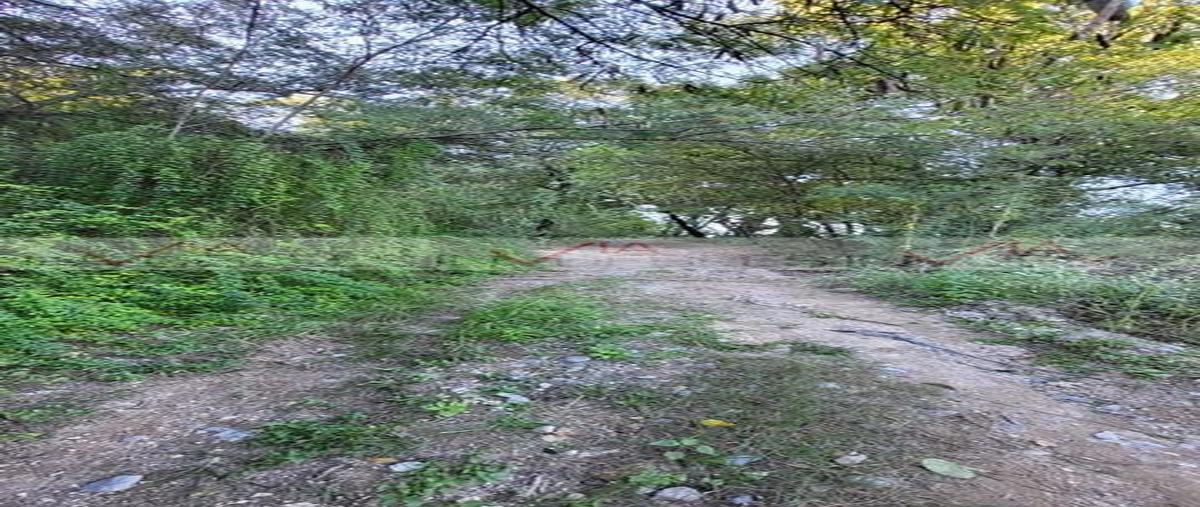 Foto de terreno habitacional en venta en cieneguilla , cieneguilla, santiago, nuevo león, 30413223 No. 04