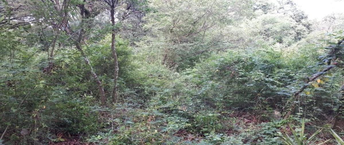 Foto de terreno habitacional en venta en cieneguilla , la cieneguilla, santiago, nuevo león, 0 No. 03