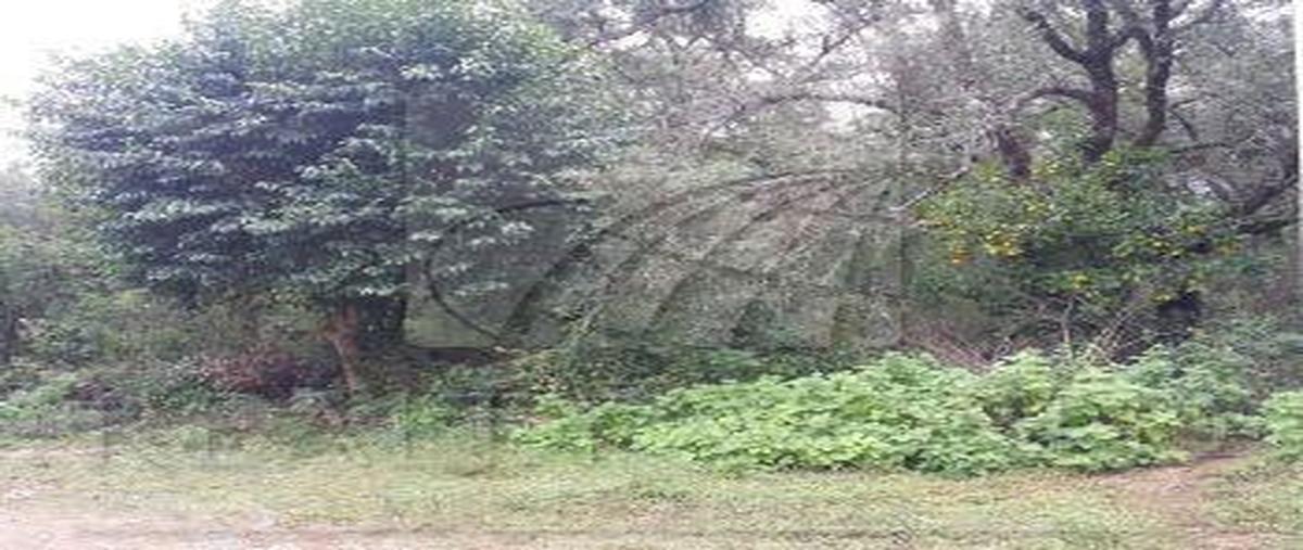 Foto de terreno habitacional en venta en  , cieneguilla, santiago, nuevo león, 30124483 No. 05