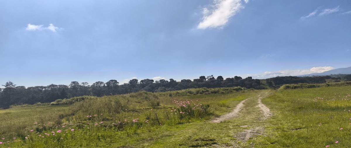 Foto de terreno habitacional en venta en  , cieneguillas de guadalupe, almoloya de juárez, méxico, 0 No. 05