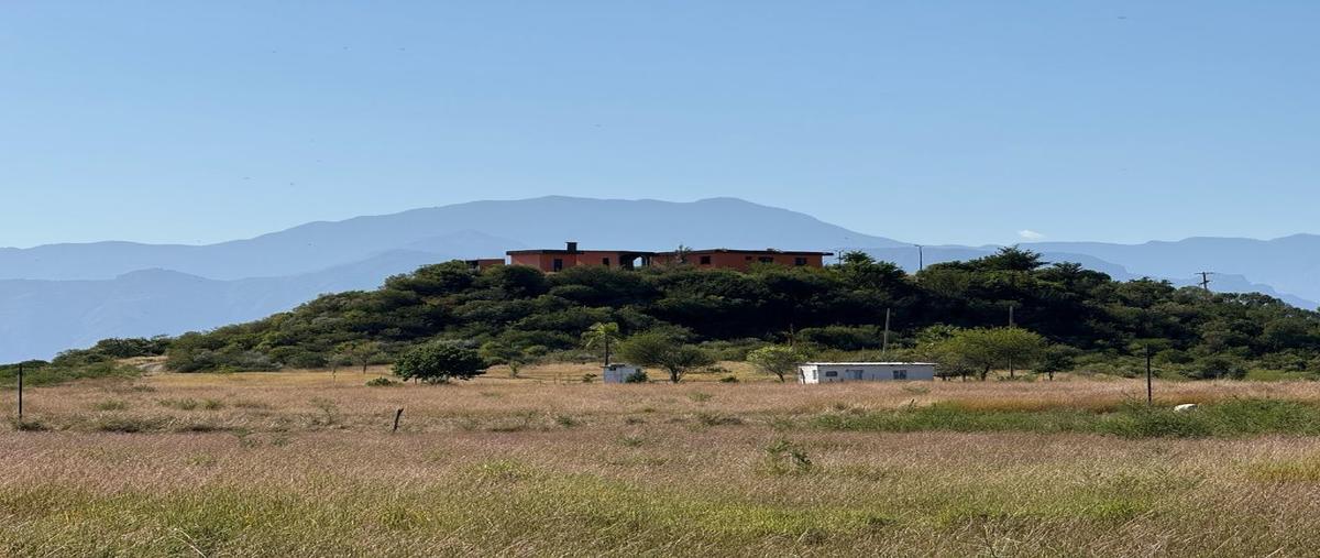 Foto de rancho en cieneguillas , los sabinos, montemorelos, nuevo león, 0 foto 01 Foto de rancho en venta en cieneguillas , los sabinos, montemorelos, nuevo león, 0 No. 01