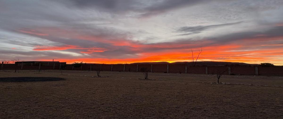 Foto de terreno habitacional en venta en  , cieneguitas, guadalupe, zacatecas, 0 No. 03