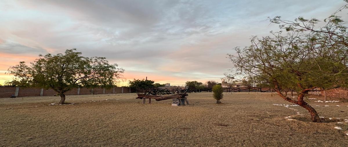 Foto de terreno habitacional en venta en  , cieneguitas, guadalupe, zacatecas, 0 No. 04