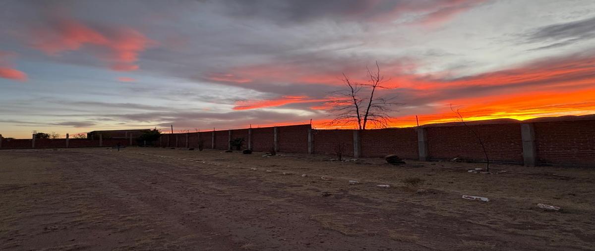 Foto de terreno habitacional en venta en  , cieneguitas, guadalupe, zacatecas, 0 No. 05