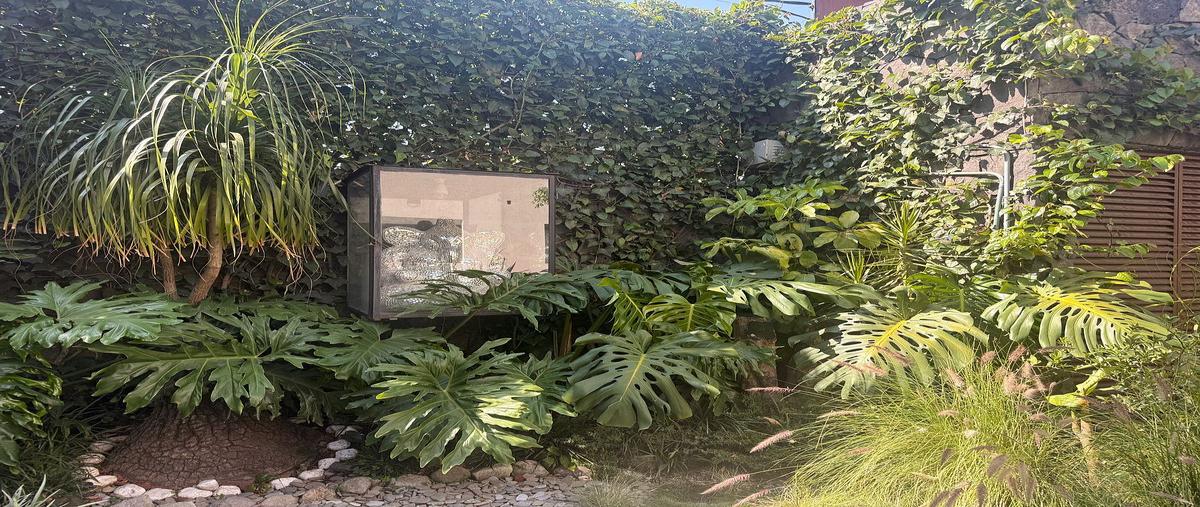 Foto de casa en renta en cima , jardines del pedregal, álvaro obregón, df / cdmx, 0 No. 03