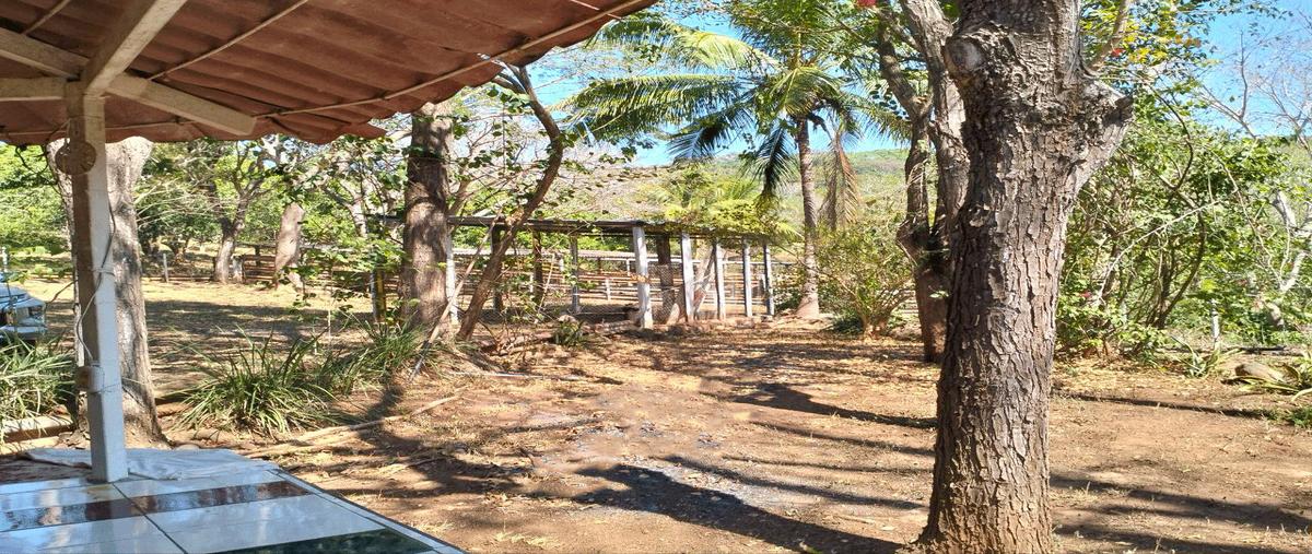 Foto de terreno habitacional en venta en  , cinco de mayo (el ciruelo), tepic, nayarit, 30872783 No. 03