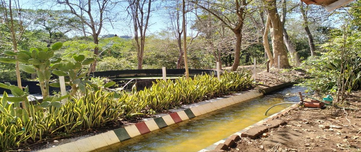 Foto de terreno habitacional en venta en  , cinco de mayo (el ciruelo), tepic, nayarit, 30872783 No. 04