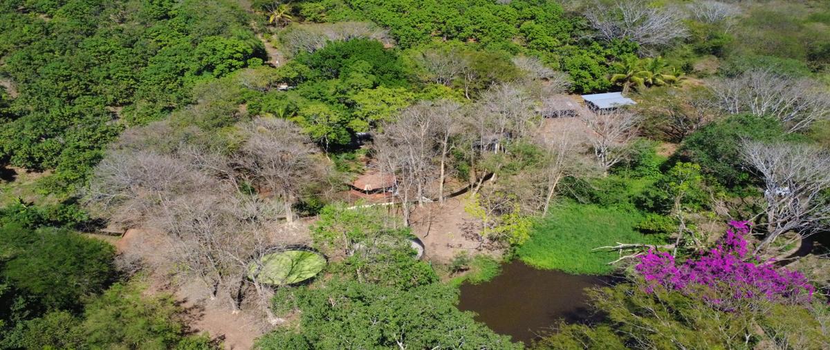 Foto de terreno habitacional en venta en  , cinco de mayo (el ciruelo), tepic, nayarit, 30872783 No. 05