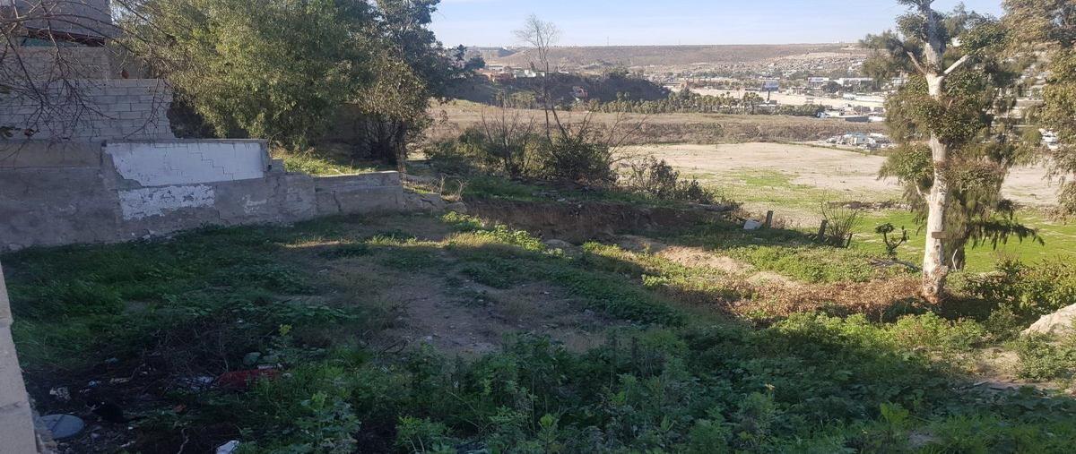 Foto de terreno habitacional en cinrcunvalacion , los álamos, tijuana, baja california, 27616815 foto 02 Foto de terreno habitacional en venta en cinrcunvalacion , los álamos, tijuana, baja california, 27616815 No. 02
