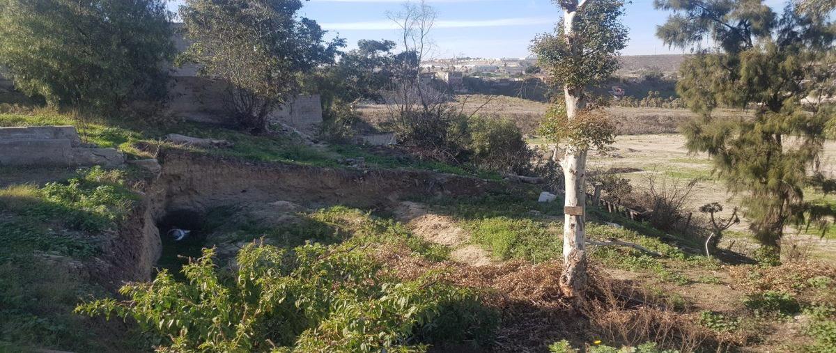 Foto de terreno habitacional en cinrcunvalacion , los álamos, tijuana, baja california, 27616815 foto 05 Foto de terreno habitacional en venta en cinrcunvalacion , los álamos, tijuana, baja california, 27616815 No. 05