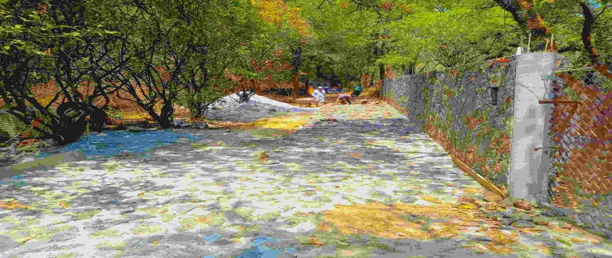 Foto de terreno habitacional en venta en cipres 100, los ocotes, tepoztlán, morelos, 26358952 No. 03