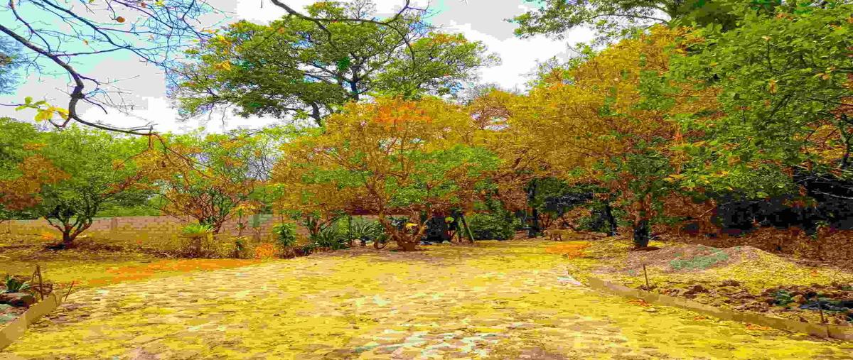 Foto de terreno habitacional en venta en cipres 100, los ocotes, tepoztlán, morelos, 26358952 No. 05