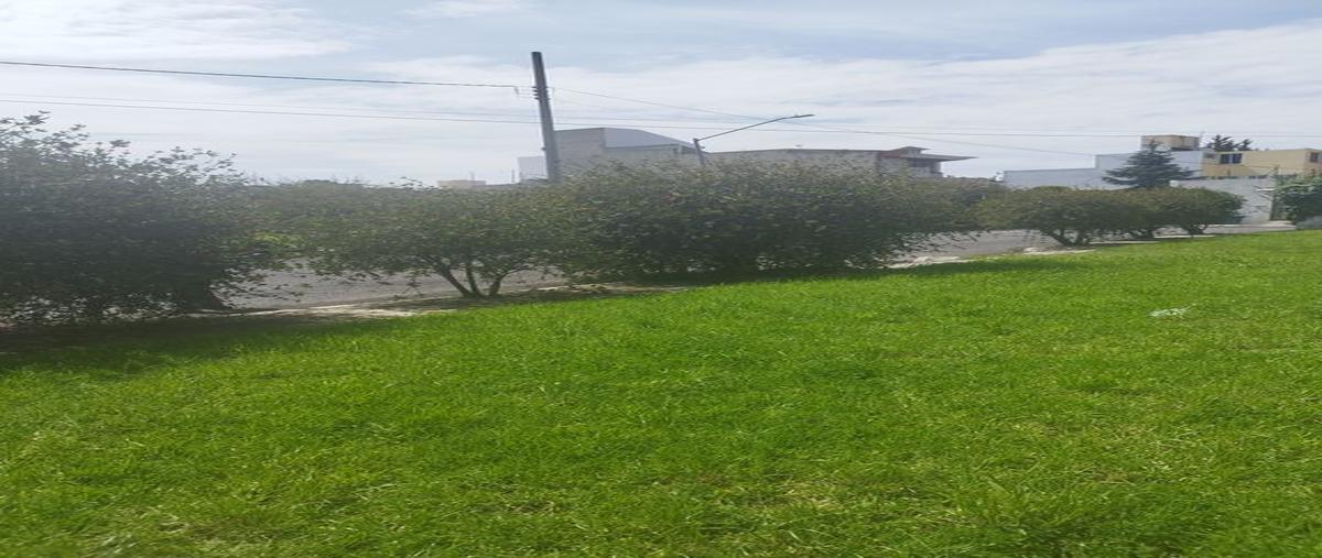 Foto de terreno habitacional en venta en cipres 17, ciprés, toluca, méxico, 0 No. 03