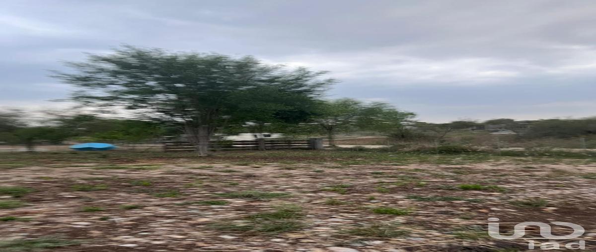 Foto de terreno habitacional en venta en cipres 99, el pastor, montemorelos, nuevo león, 29489501 No. 03