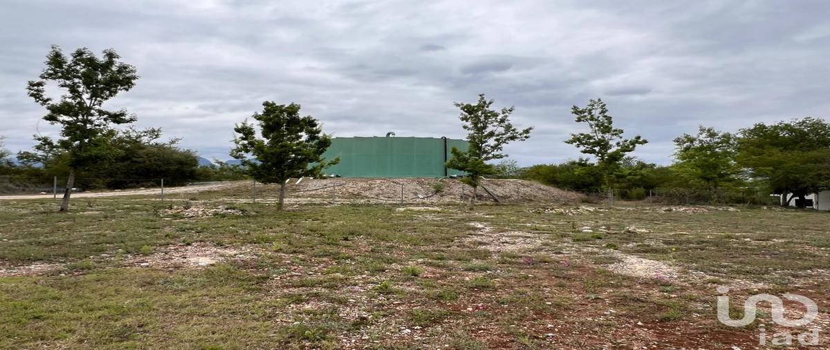 Foto de terreno habitacional en venta en cipres 99, el pastor, montemorelos, nuevo león, 29489501 No. 04