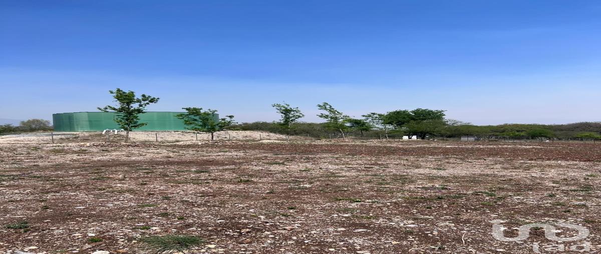 Foto de terreno habitacional en venta en cipres 99, el pastor, montemorelos, nuevo león, 29489501 No. 05