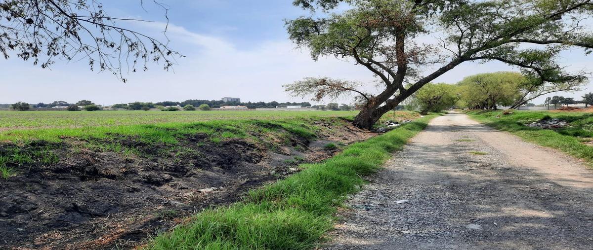 Foto de terreno habitacional en venta en cipres , llano grande, metepec, méxico, 24993506 No. 03