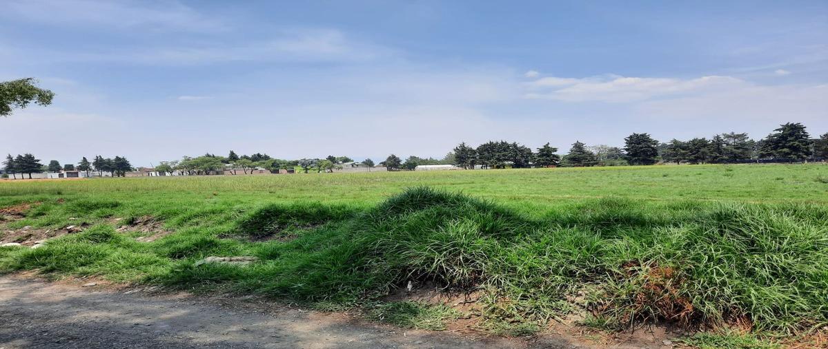 Foto de terreno habitacional en venta en cipres , llano grande, metepec, méxico, 24993506 No. 04