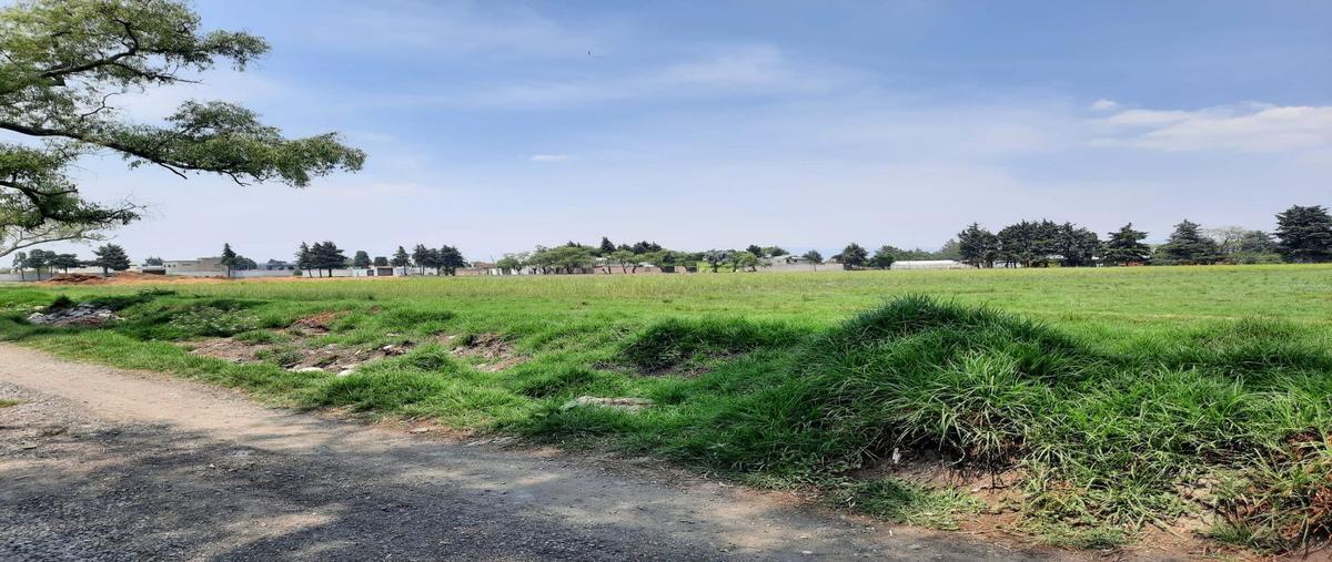 Foto de terreno habitacional en venta en cipres , llano grande, metepec, méxico, 24993506 No. 05