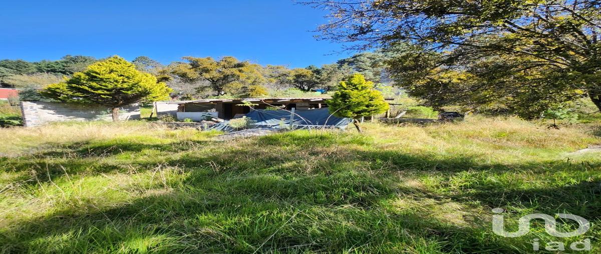 Foto de terreno habitacional en venta en circuito ajusco kilometro 17 , santo tomas ajusco, tlalpan, df / cdmx, 31636855 No. 04