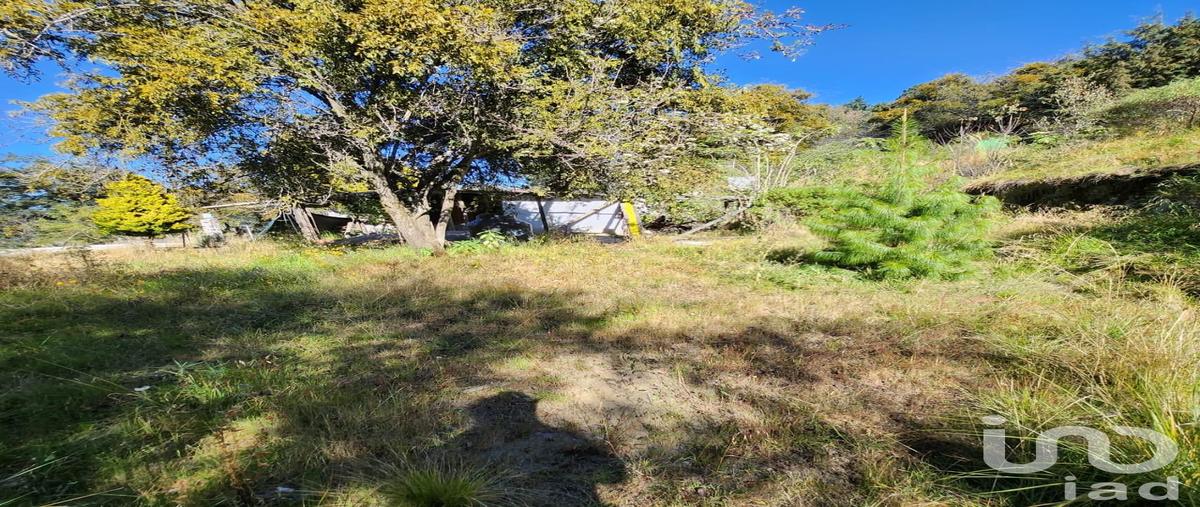 Foto de terreno habitacional en venta en circuito ajusco kilometro 17 , santo tomas ajusco, tlalpan, df / cdmx, 31636855 No. 05