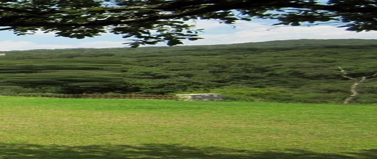 Foto de terreno habitacional en venta en circuito alamos , campestre haras, amozoc, puebla, 26626448 No. 04