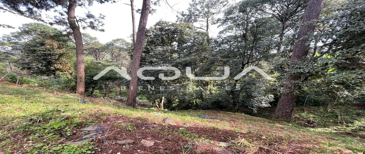 Foto de terreno habitacional en venta en circuito avandaro , avándaro, valle de bravo, méxico, 30089337 No. 04