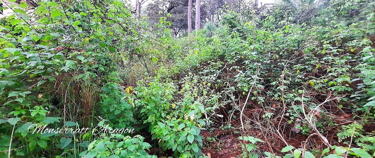Foto de terreno habitacional en venta en circuito avándaro , casas viejas, valle de bravo, méxico, 25602410 No. 03