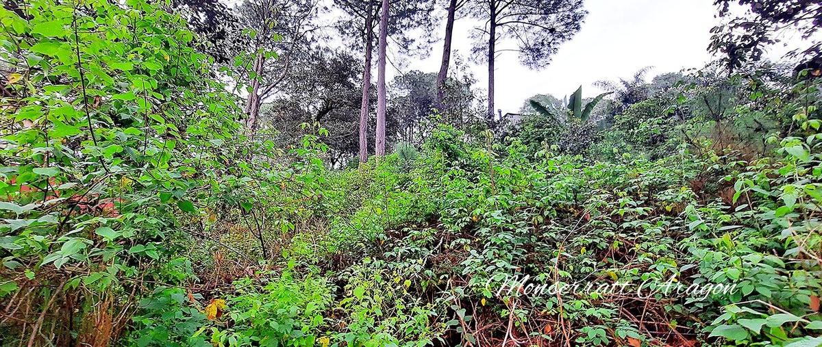 Foto de terreno habitacional en venta en circuito avándaro , casas viejas, valle de bravo, méxico, 25602410 No. 04