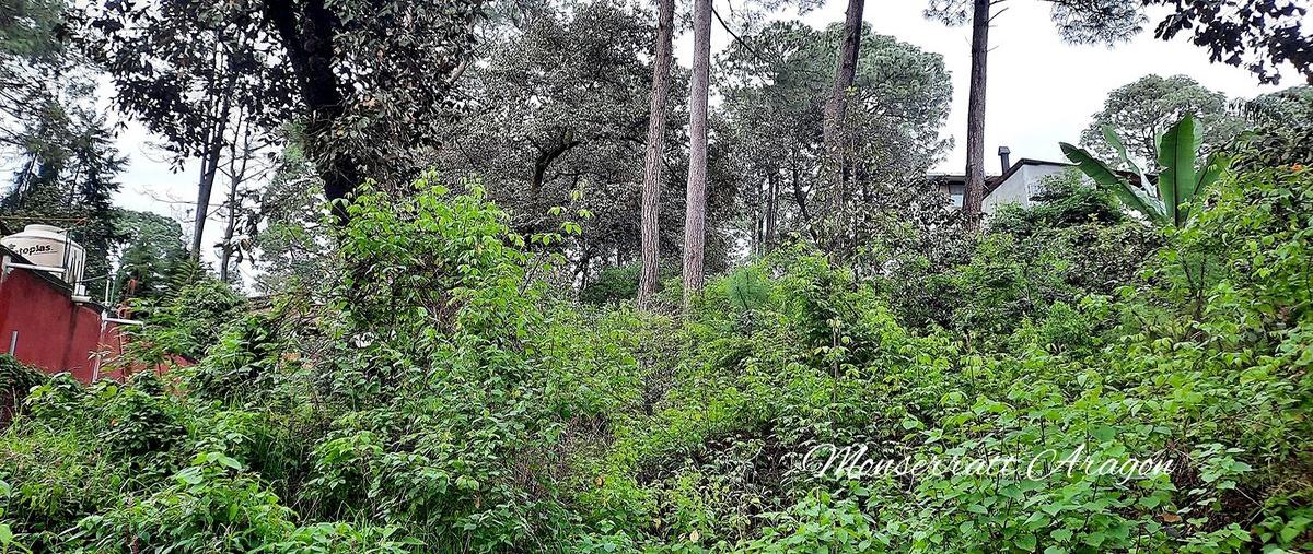 Foto de terreno habitacional en venta en circuito avándaro , casas viejas, valle de bravo, méxico, 25602410 No. 05