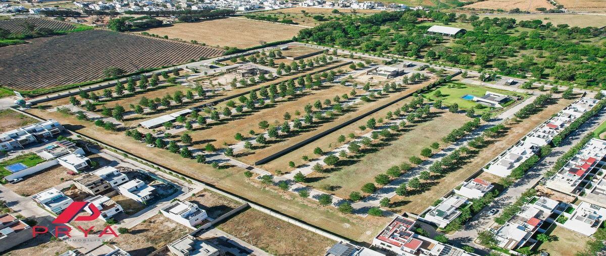 Foto de terreno habitacional en venta en circuito bruna , solares, zapopan, jalisco, 0 No. 01
