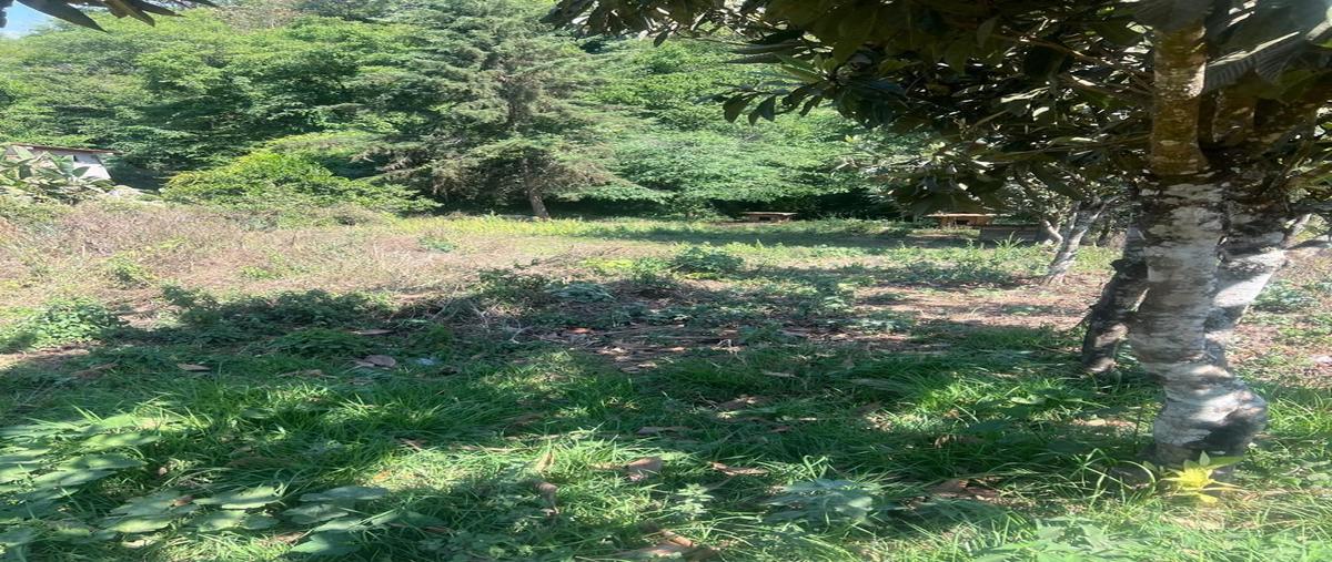 Foto de terreno habitacional en venta en circuito , casas viejas, valle de bravo, méxico, 0 No. 03