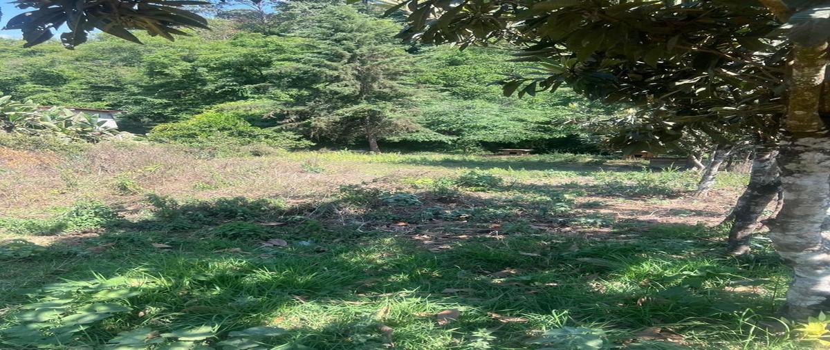 Foto de terreno habitacional en venta en circuito , casas viejas, valle de bravo, méxico, 0 No. 05