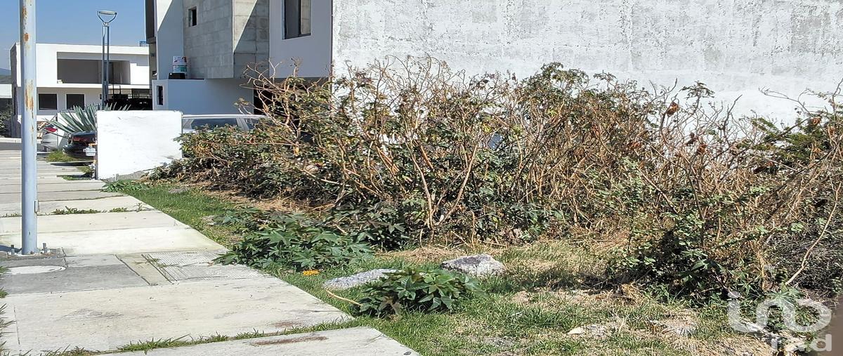 Foto de terreno habitacional en venta en circuito ceiba 119, zibatá, el marqués, querétaro, 31103329 No. 05