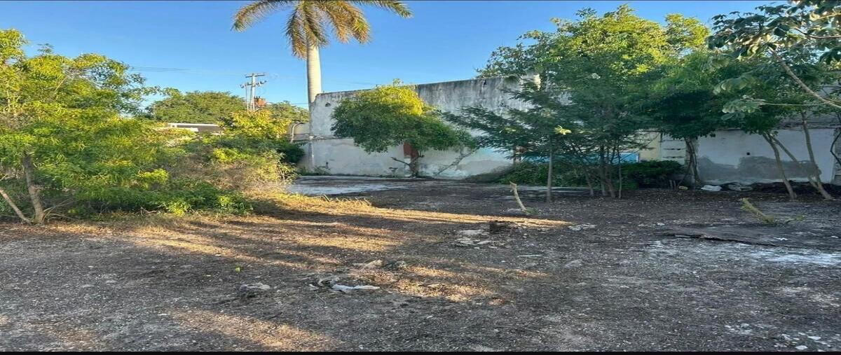 Foto de terreno habitacional en renta en  , circuito colonias, mérida, yucatán, 0 No. 03